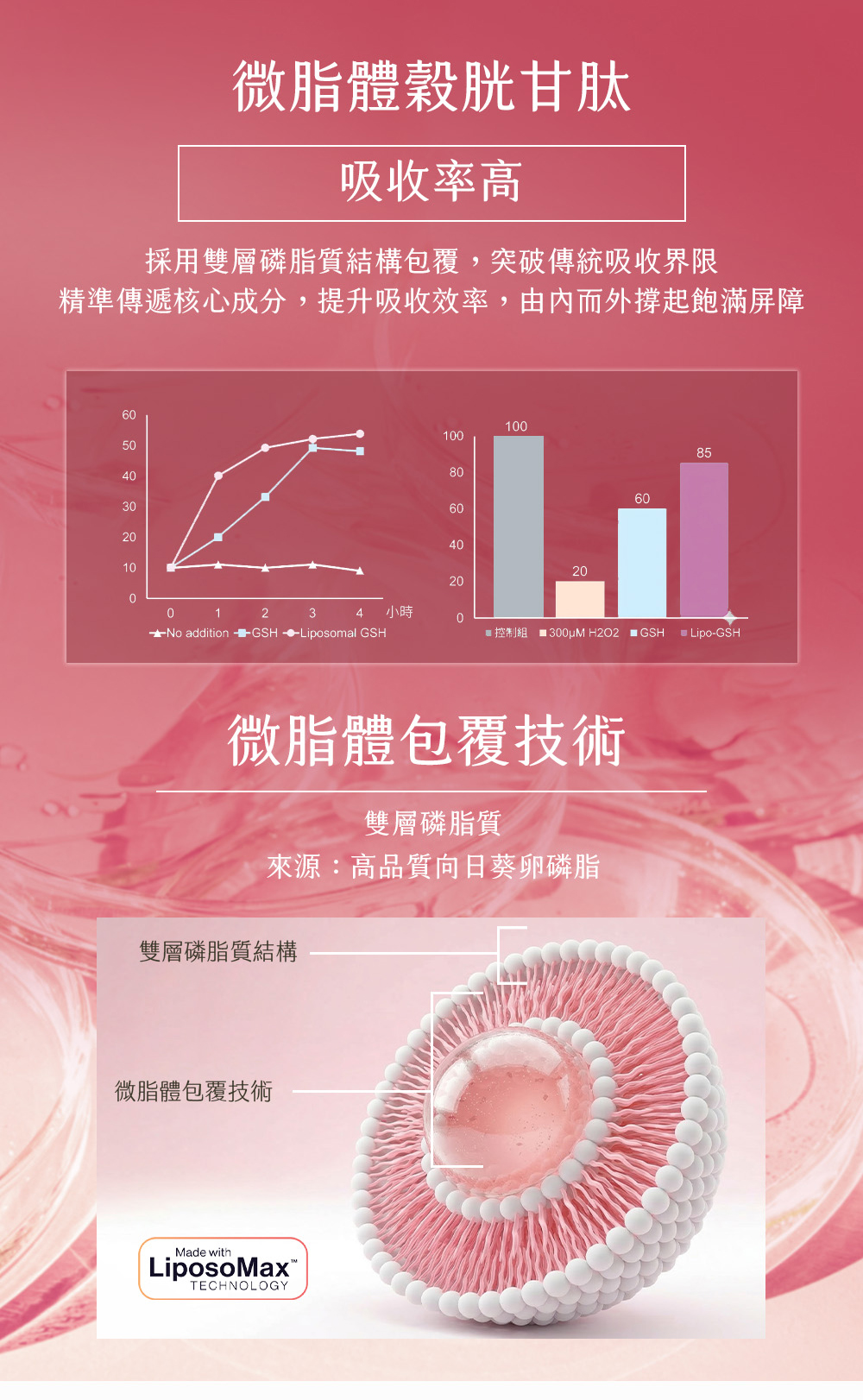 UFLOW UFLOW 肽晶芙蓉｜微脂體穀胱甘肽250mg＋冰晶番茄＋維生素C｜肽晶芙蓉 03 - 說明圖 3